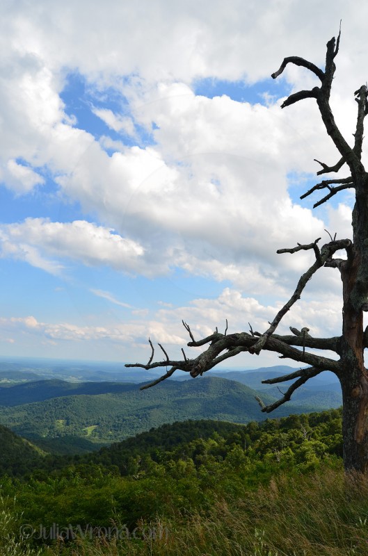Shenandoah National Park in Virginia