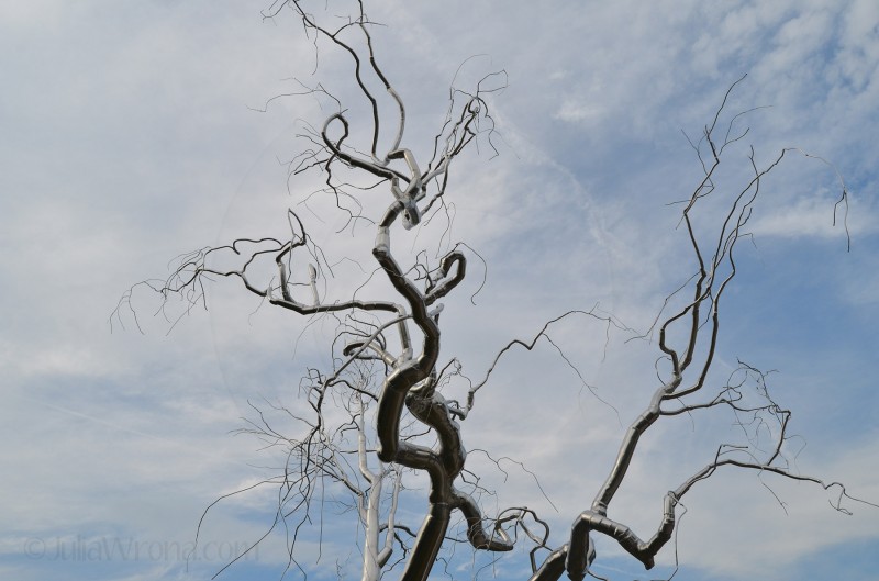 National Gallery of Art Sculpture Garden in Washington, D.C.