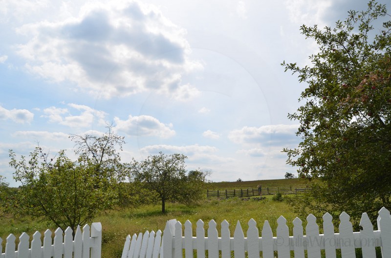 Field Gettysburg, PA