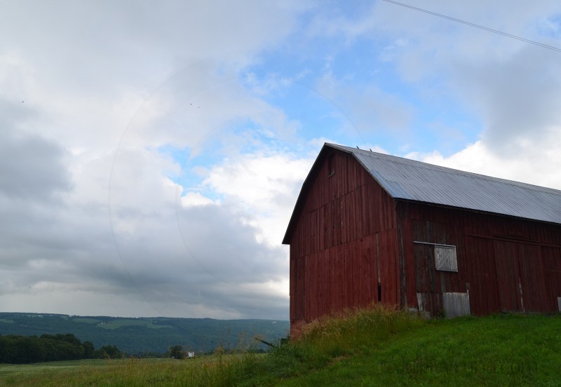 Finger Lakes Farm