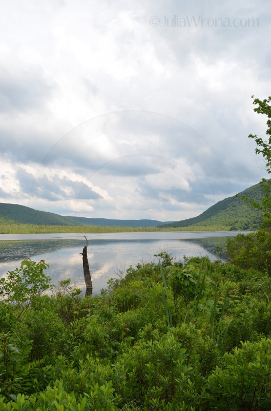 Labrador Hollow in Fabius, New York