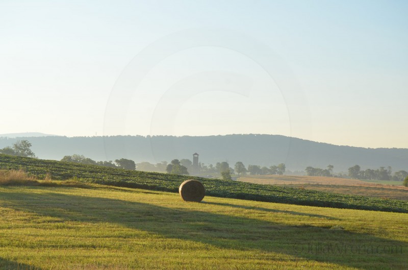 Antietam Battlefield in Maryland