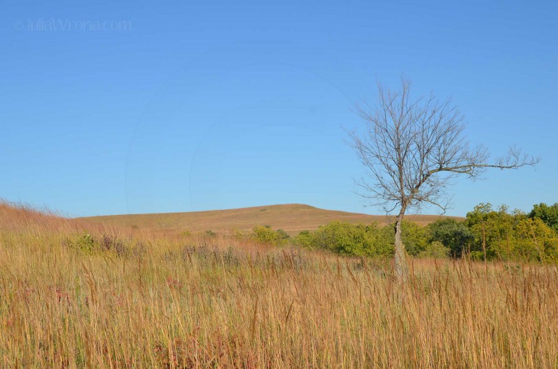 Konza Prairie, Kansas