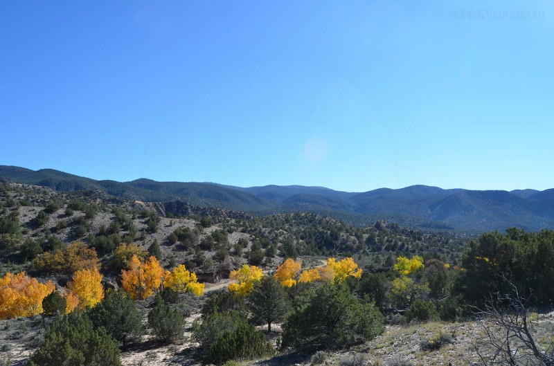 Near Dixon, New Mexico