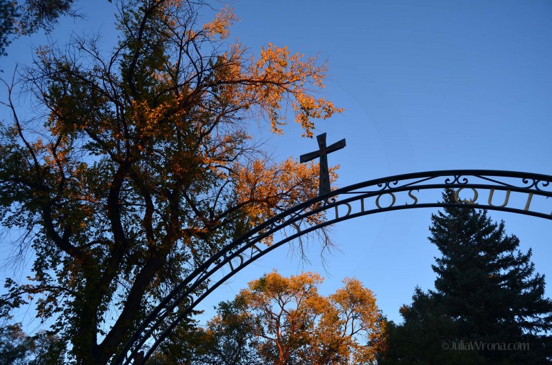 Cemetery Gate at The Cathedral Basilica of St. Francis of Assisi