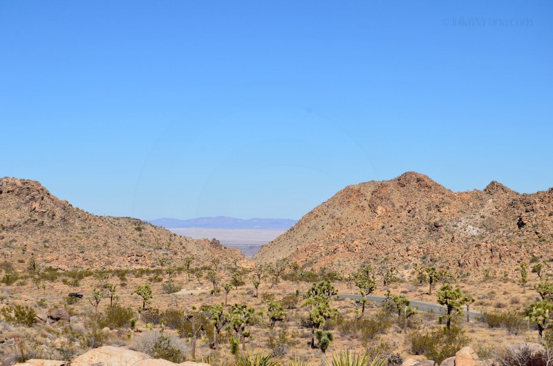 Joshua Tree National Park