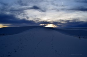 Footsteps in sand at sunset White Sands National Park