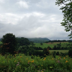 Farm in Hoosick, New York