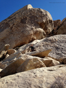 Julie high on a boulder in Joshua Tree