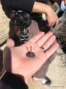 the offending rusty cap nail