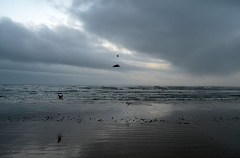 Dreary ocean beach