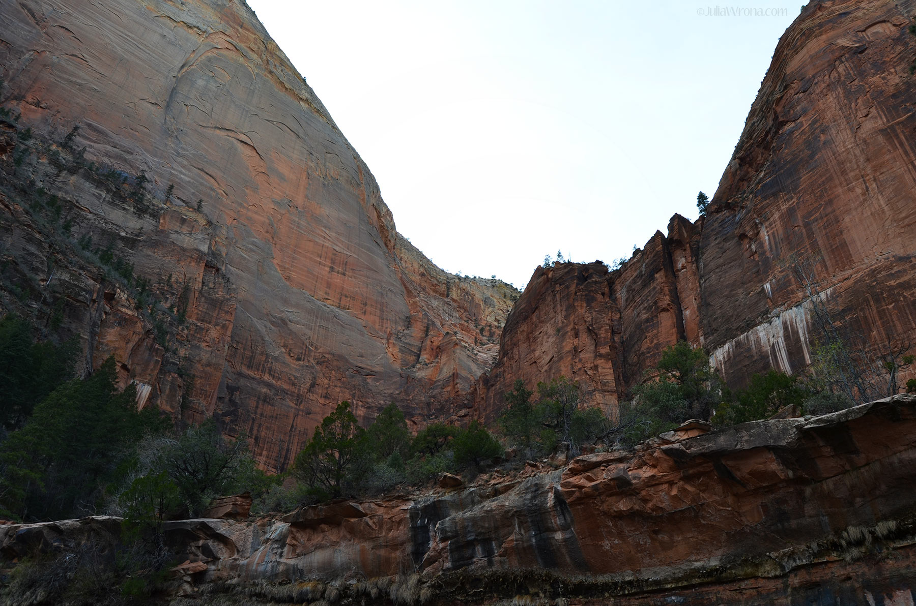 Will There Someday Be Bike In >> Zion National Park Will There Someday Be Bike In >> Zion National Park