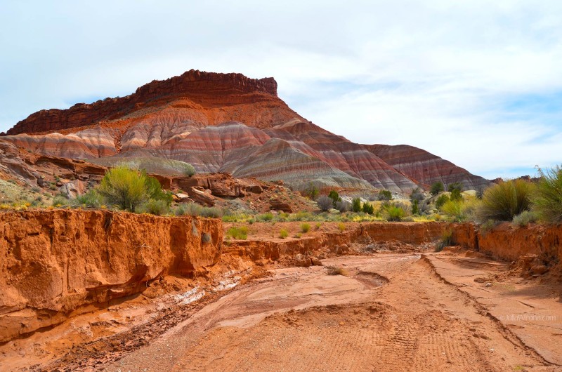 Paria, Utah Grand Staircase Escalante National Monument